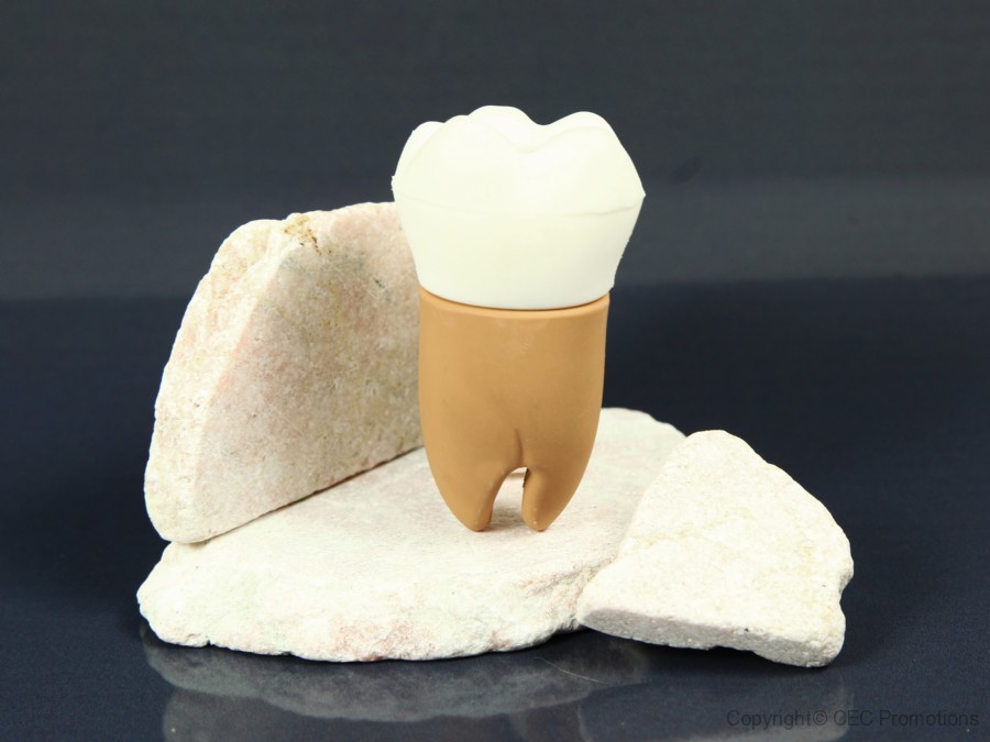 USB Stick Zahn Medizin