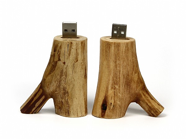 USB-Stick Holzast hell