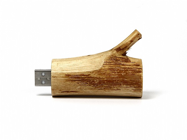 USB-Stick Holzast hell