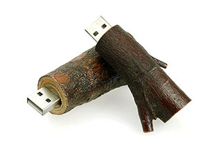 Holz USB Stick Ast