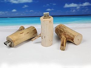 holzast natur usb stick JPG