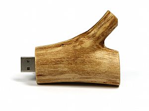 usb stick ast naturpur JPG