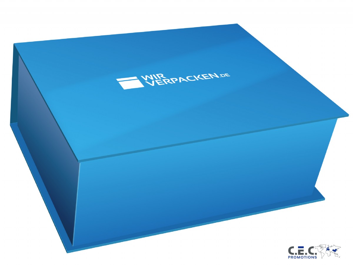Dentalbox Maxi - 4 Ausschnitte