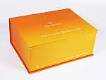 Dentalbox Maxi - 4 Ausschnitte
