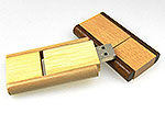 USB-Stick Swing