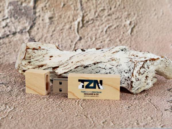 holz usb stick mit digitaldruck logo tierarzt