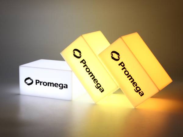 Leuchtboxen in verschiedenen Farben mit dem Logo von Promega, ideal für individuelle Werbung und Präsentationen.