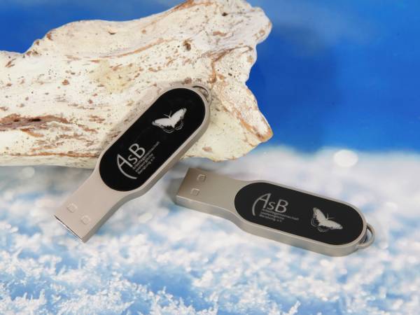 USB-Stick mit elegantem Design, schwarzem Logo-Bereich und Platz für individuelle Beschriftungen oder Logos.