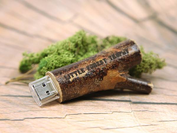 usb stick ast holz dunkel gravur logo werbung natur