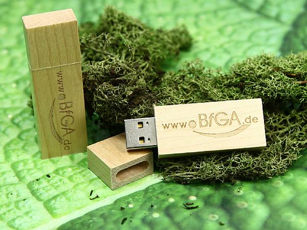 usb stick holz hell natur schlicht logo