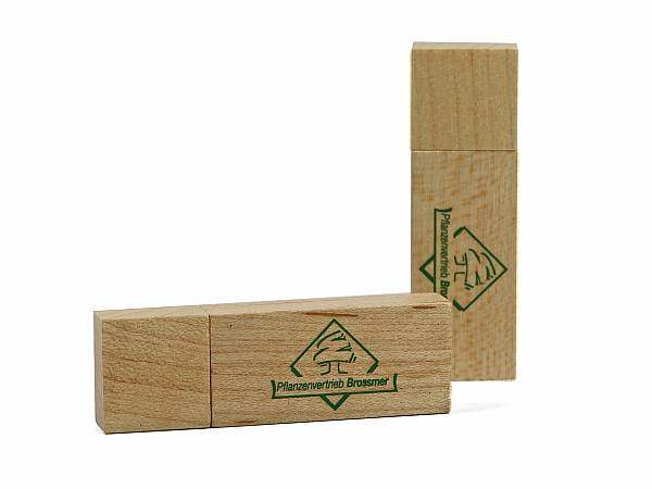 usb stick holz natur hell logo gruen