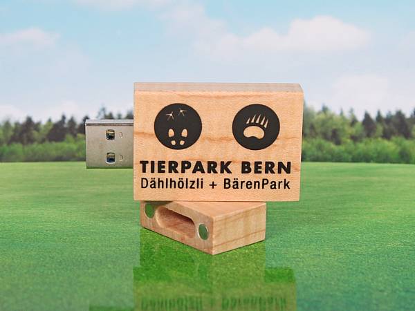 usb stick holz natur hellbraun digitaldruck