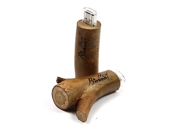 usb stick holz stamm natur ast logo hof birken