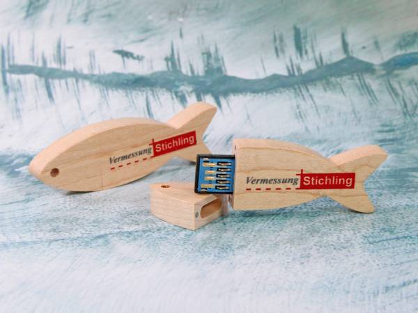 usb stick holzfisch fisch natur holz hellbraun digitaldruck