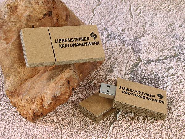 usb stick wellpappe umwelt karton öko logo druck