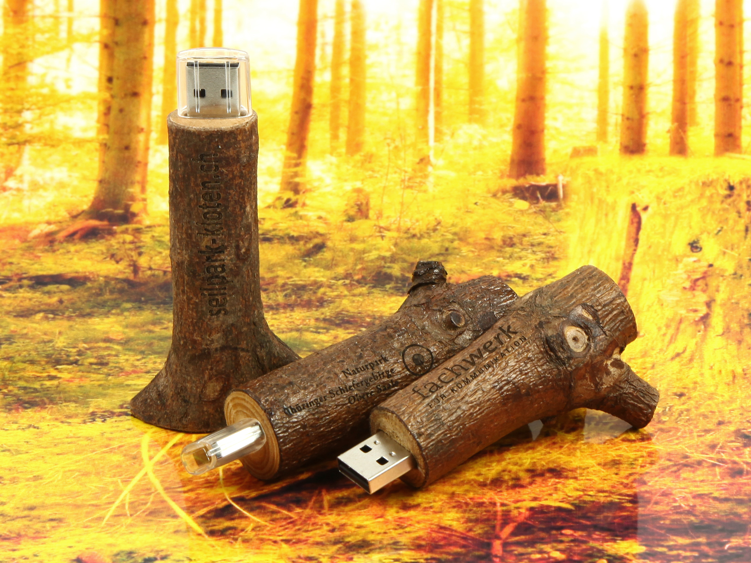 usb stick ast holz stamm natur logo