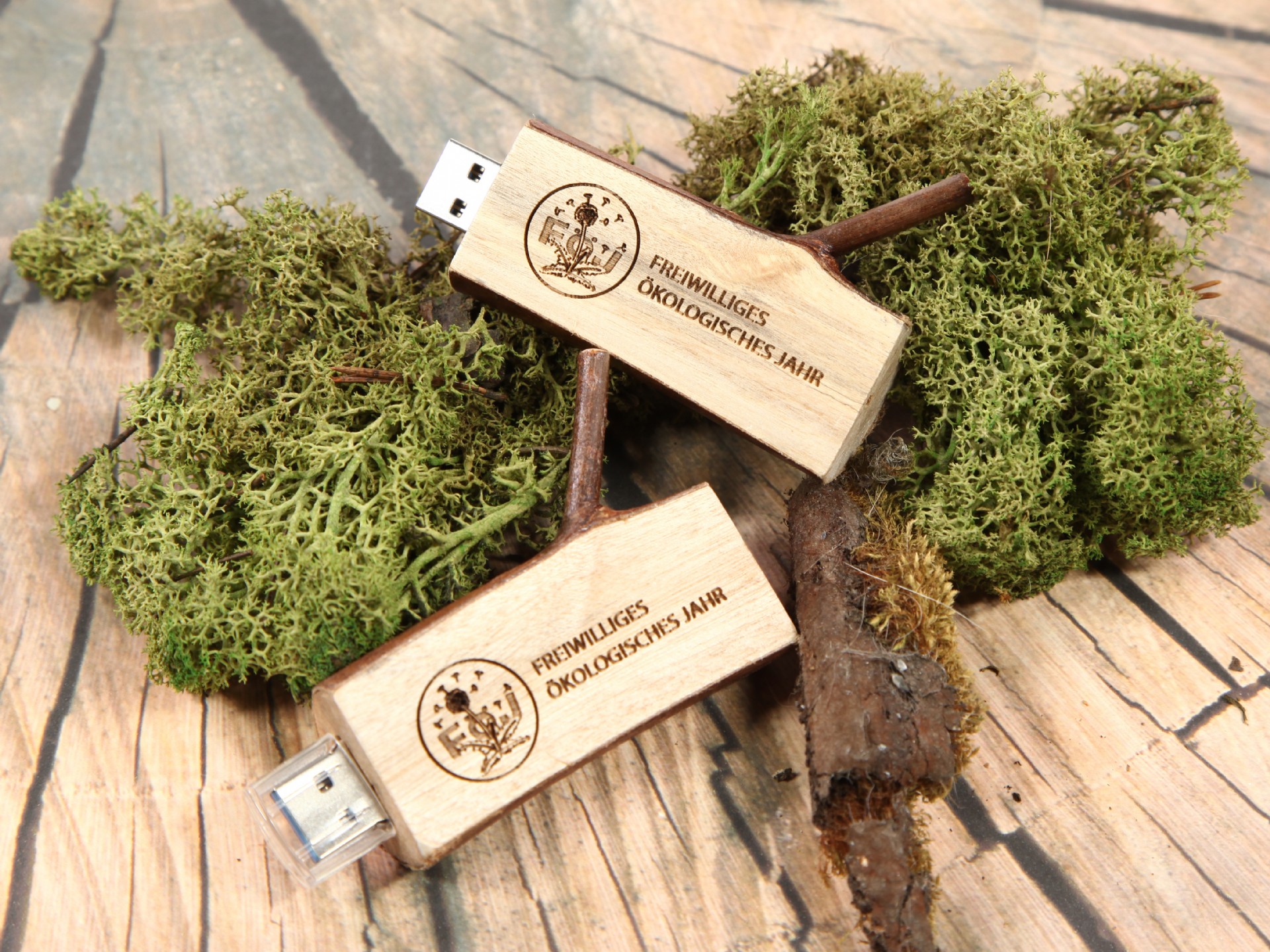 usb holzast laptop natur usb stick aststück flach hoszstück baum wald rinde natürlich