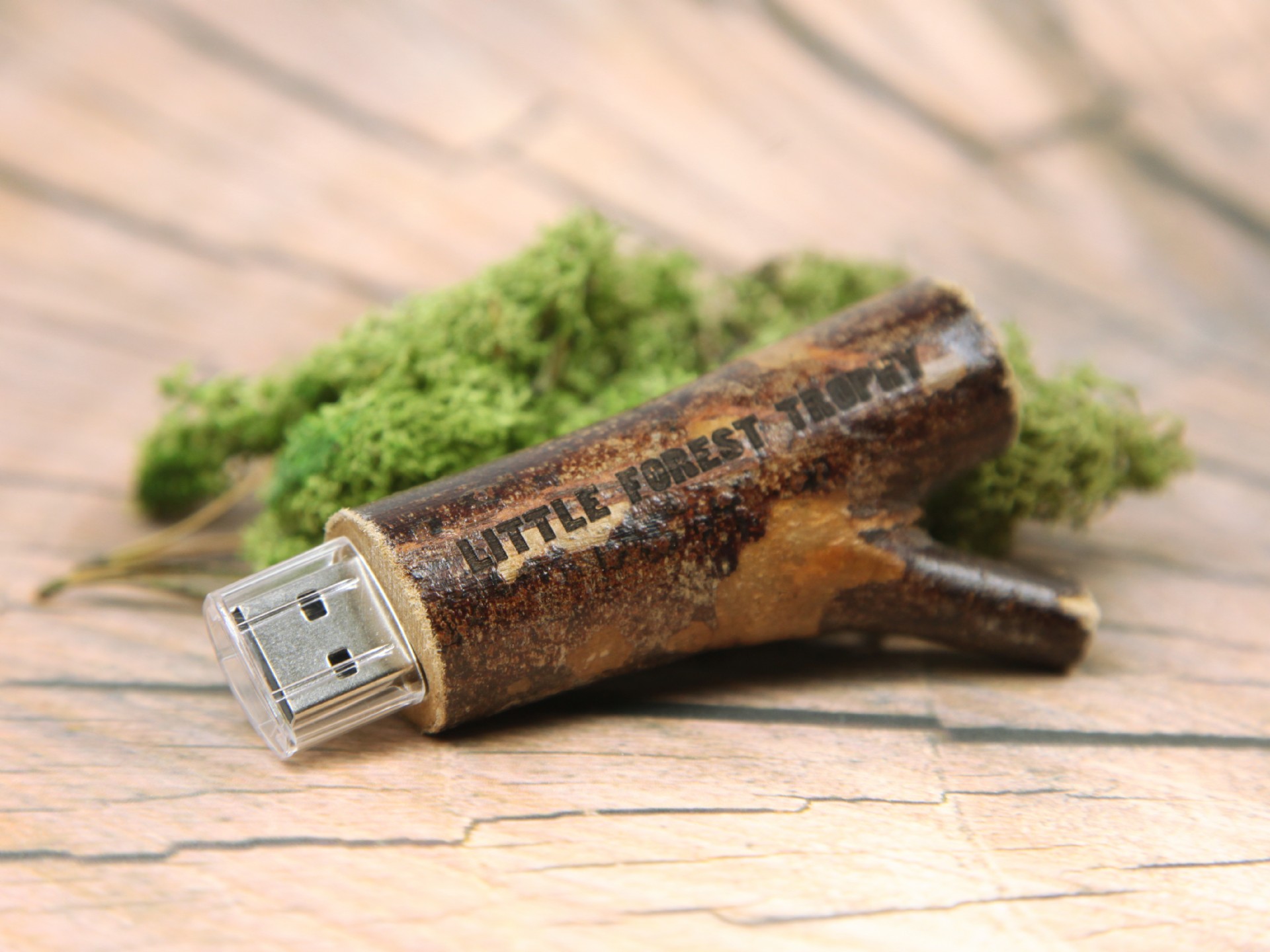 usb stick ast holz dunkel gravur logo werbung natur